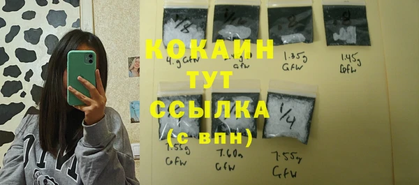 гашик Абаза
