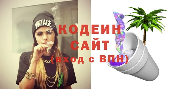гашик Абаза